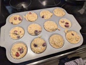 Cranberry Banana Oat Muffins