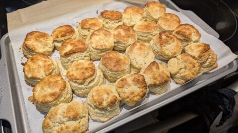 English Style Scones