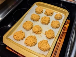 Mom's Oat Cookies [Мамино овсяное печенье]
